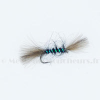 Shipman buzzer