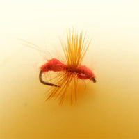 Fourmi rouge ailée