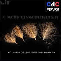 Plume Cul de Canard CDC PREMIUM naturel