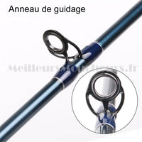 Canne DEBUTANTS 9 pieds #5 IM6