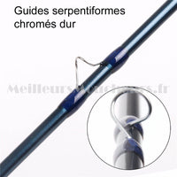 Canne DEBUTANTS 9 pieds #5 IM6