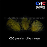 Tinted CDC PREMIUM Duck Cul Nib