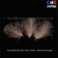 Tinted CDC PREMIUM Duck Cul Nib