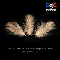 CDC JUMBO Duck Ass Feather