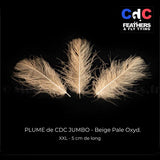 CDC JUMBO Duck Ass Feather
