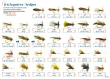 Trichoptera- Seggen DEVAUX 2023