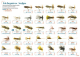 Trichoptera- sedges DEVAUX
