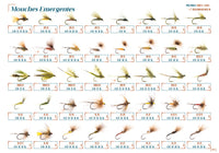 Emergentes DEVAUX