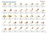 Emergentes DEVAUX