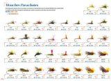 Parachutes DEVAUX