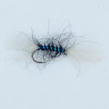 Shipman buzzer