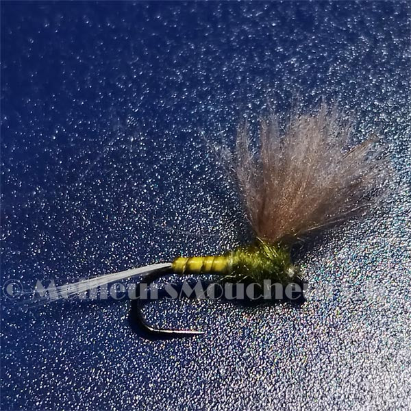 CDC voilier olive