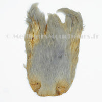 Cou de coq indien hackle Top grade