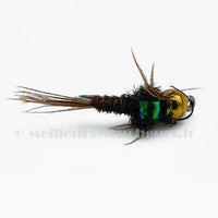 Helmeted Pheasant Tail flashback