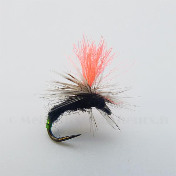 Chironome émergent holo parachute