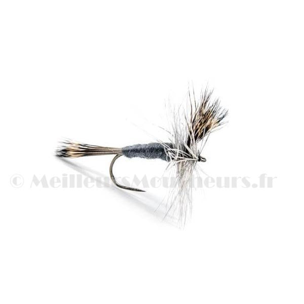 Grey wulff (subimago mouche de mai)