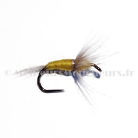 Grey with yellow body