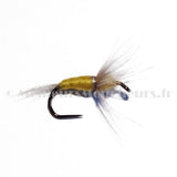 Grey with yellow body