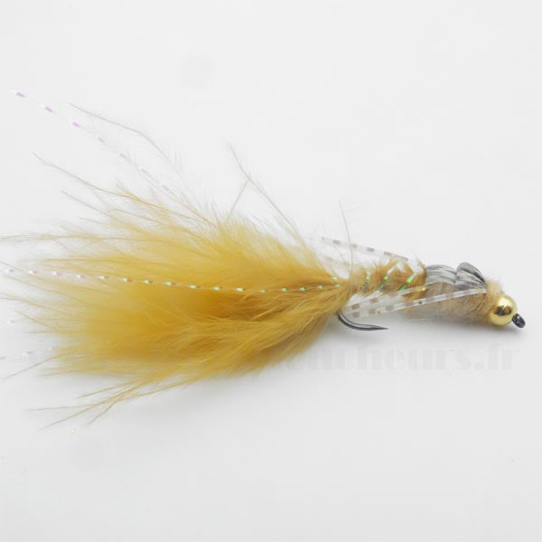 Larve de libellule brune
