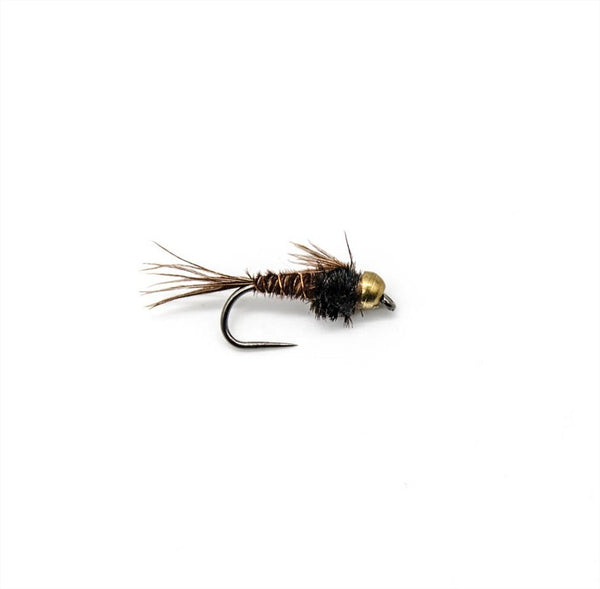 Pheasant Tail casquée flashback