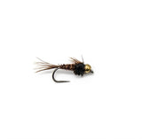 Helmeted Pheasant Tail flashback