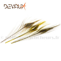 Devaux Deburred Peacock Quill