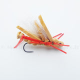 Sauterelle grise