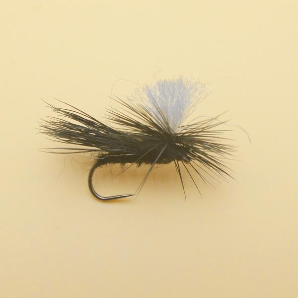 Sedge chevreuil noir Tabanas  parachute