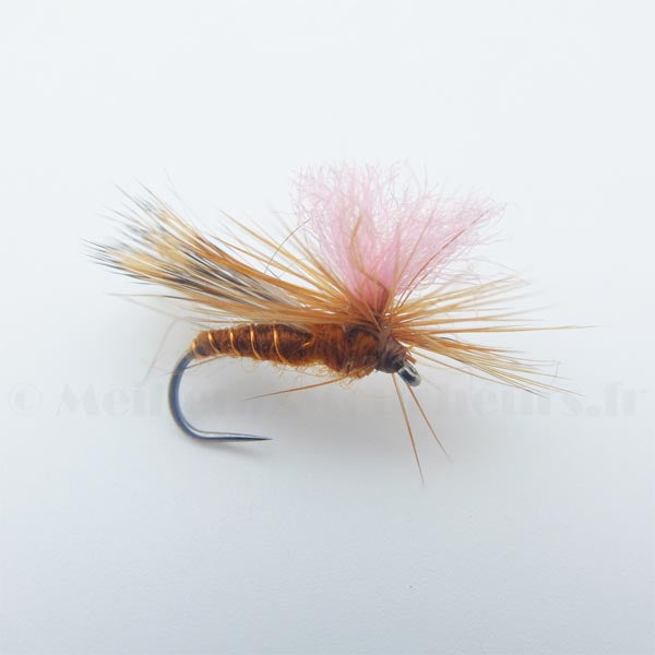 Sedge chevreuil Tabanas parachute
