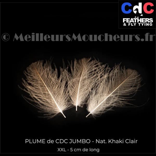 Plume Cul de Canard CDC JUMBO