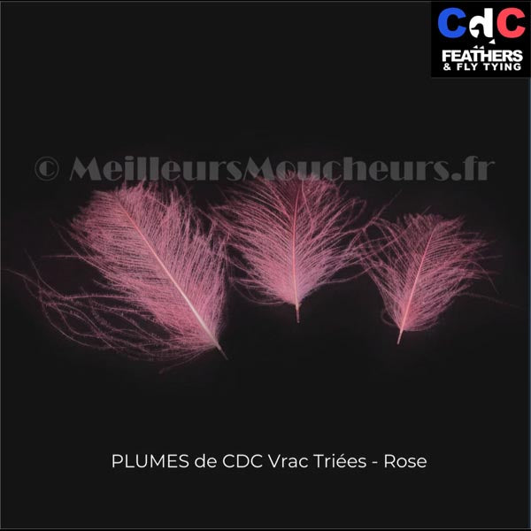 Plume Cul de Canard CDC PREMIUM teinté