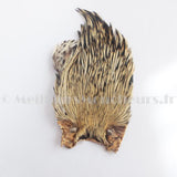 Cou de coq indien hackle Top grade