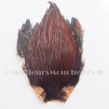Cou de coq indien hackle Top grade