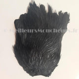 Cou de coq indien hackle Top grade