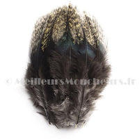 Pelles de Pardo Devaux
