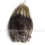 Pelles de Pardo Devaux