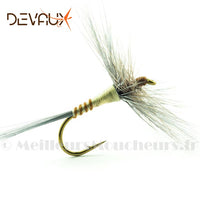 Dry DEVAUX 2023
